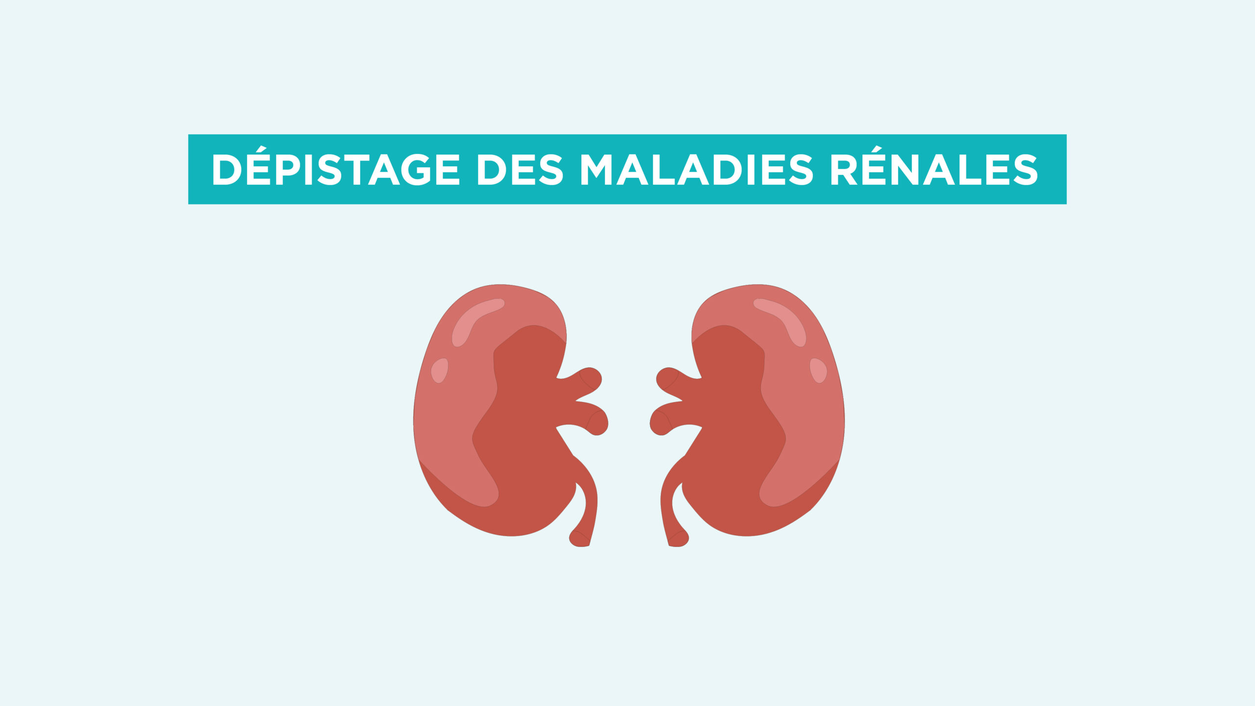 Lire la suite à propos de l’article Journée de dépistage des maladies rénales le 11 mars à la Clinique du Parc